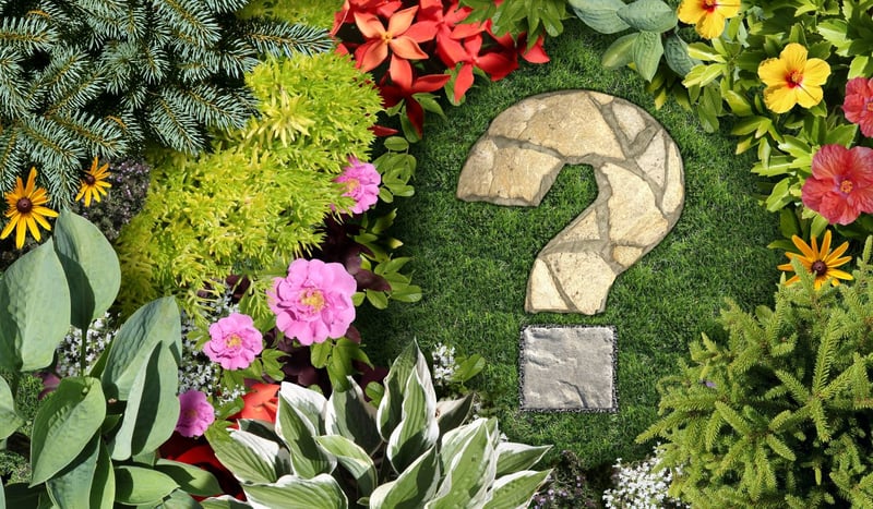 さまざまな植物が植えられた庭とハテナマーク