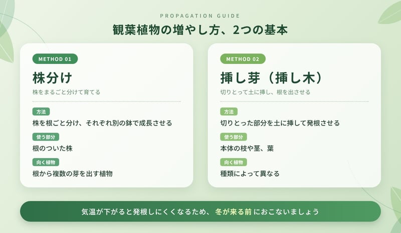 観葉植物の増やし方、2つの基本