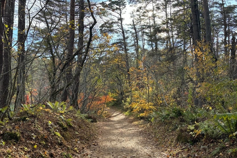 紅葉の時期の裏磐梯・五色沼近辺（福島県北塩原村）。会津若松から日帰りで行ける近隣のハイキングスポットです。熊対策はしっかりと。